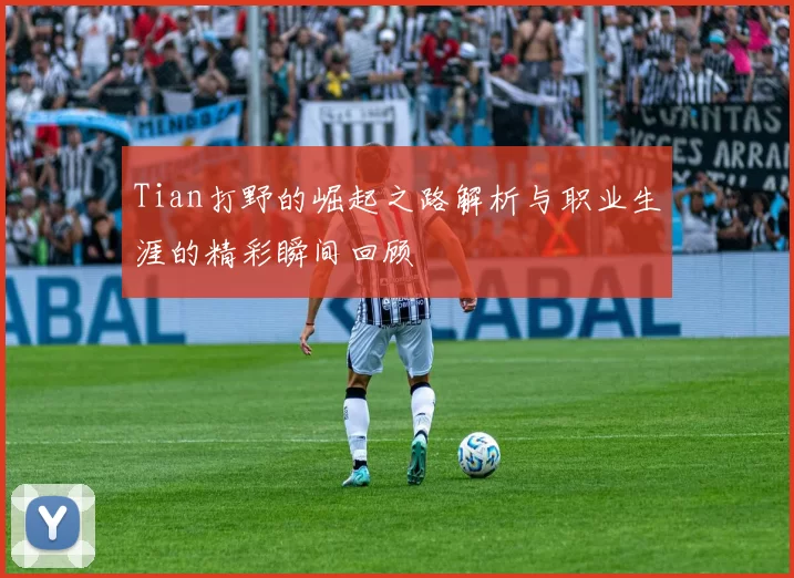 Tian打野的崛起之路解析与职业生涯的精彩瞬间回顾