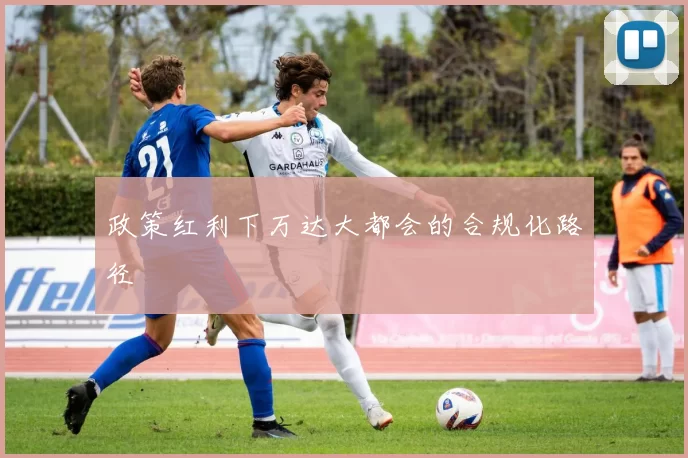 政策红利下万达大都会的合规化路径