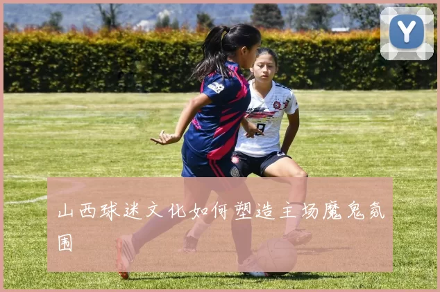 山西球迷文化如何塑造主场魔鬼氛围
